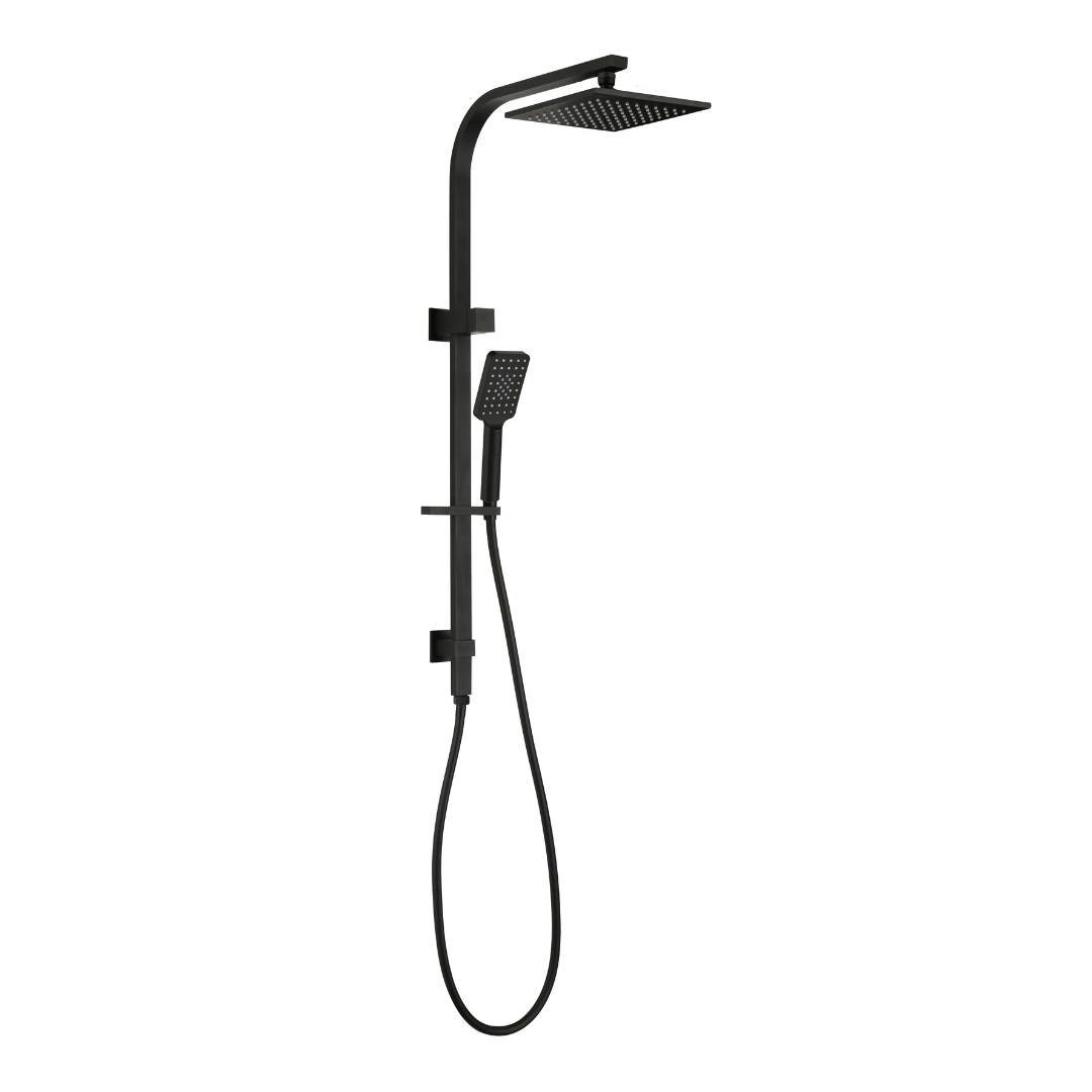 Luxury 2 in 1 Shower Top Inlet